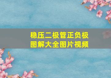 稳压二极管正负极图解大全图片视频