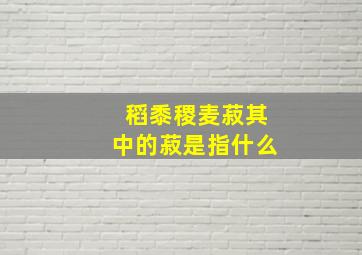 稻黍稷麦菽其中的菽是指什么