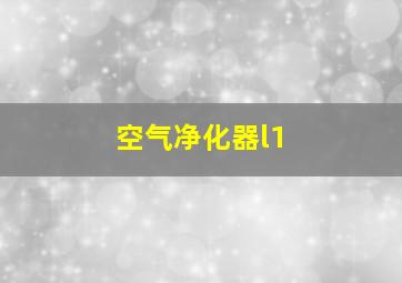 空气净化器l1