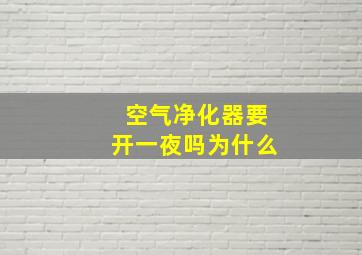 空气净化器要开一夜吗为什么