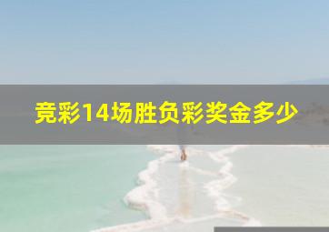 竞彩14场胜负彩奖金多少