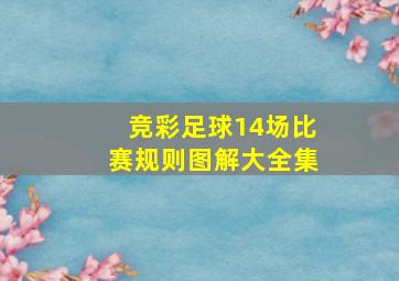 竞彩足球14场比赛规则图解大全集