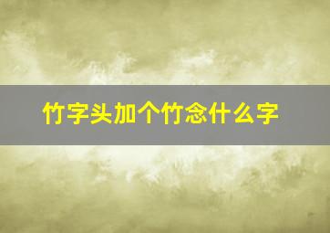 竹字头加个竹念什么字