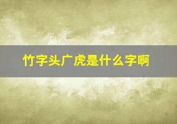 竹字头广虎是什么字啊