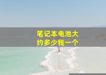 笔记本电池大约多少钱一个