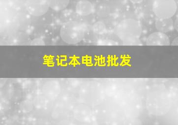 笔记本电池批发