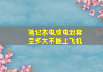 笔记本电脑电池容量多大不能上飞机