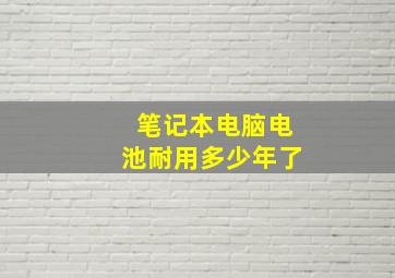 笔记本电脑电池耐用多少年了