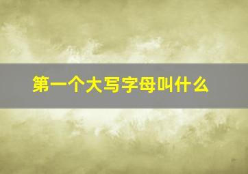 第一个大写字母叫什么