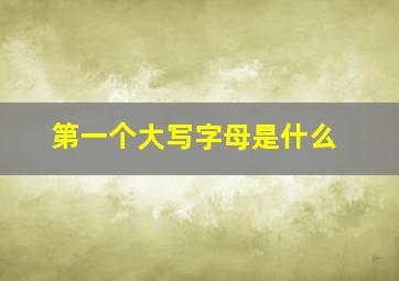 第一个大写字母是什么