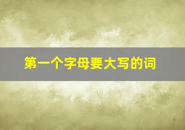 第一个字母要大写的词