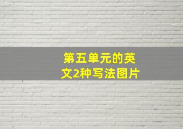 第五单元的英文2种写法图片