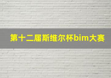 第十二届斯维尔杯bim大赛