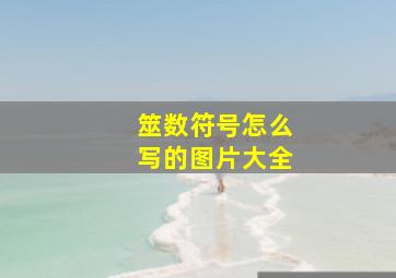 筮数符号怎么写的图片大全