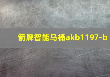 箭牌智能马桶akb1197-b