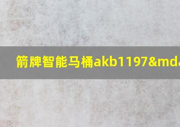 箭牌智能马桶akb1197—b