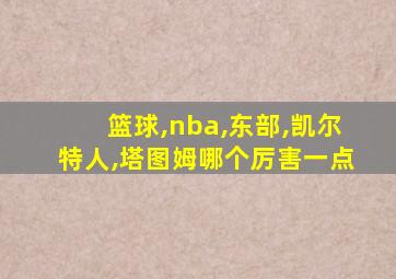 篮球,nba,东部,凯尔特人,塔图姆哪个厉害一点