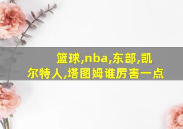 篮球,nba,东部,凯尔特人,塔图姆谁厉害一点