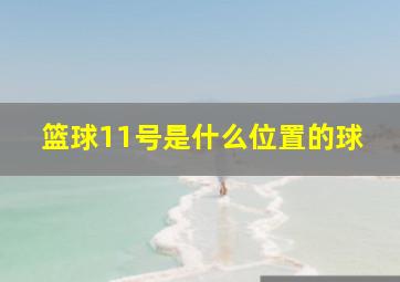 篮球11号是什么位置的球