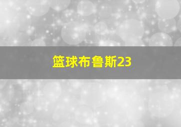 篮球布鲁斯23