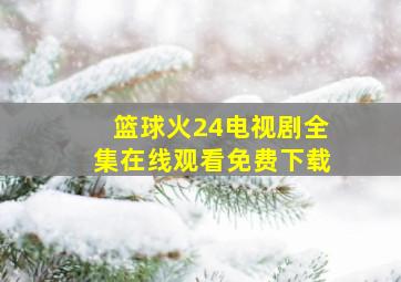 篮球火24电视剧全集在线观看免费下载