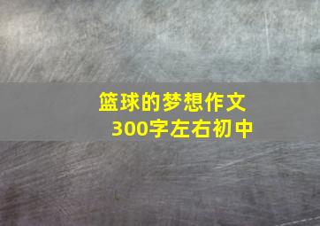 篮球的梦想作文300字左右初中