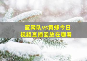 篮网队vs黄蜂今日视频直播回放在哪看