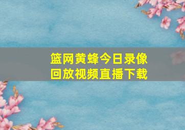 篮网黄蜂今日录像回放视频直播下载