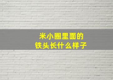 米小圈里面的铁头长什么样子