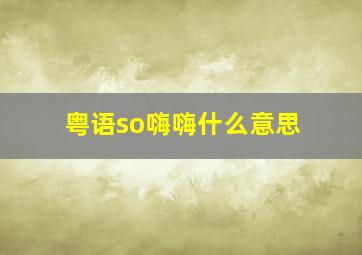 粤语so嗨嗨什么意思