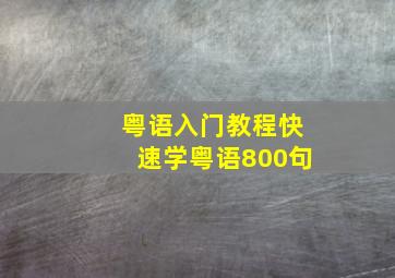 粤语入门教程快速学粤语800句