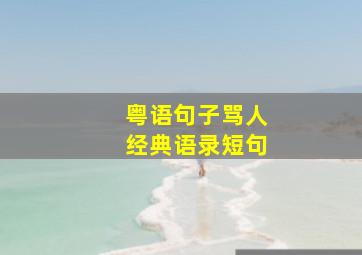 粤语句子骂人经典语录短句