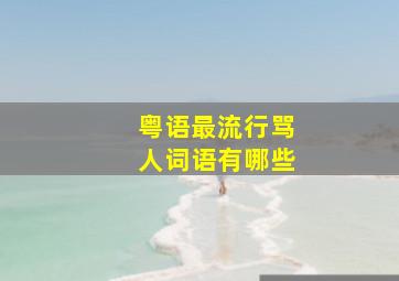 粤语最流行骂人词语有哪些