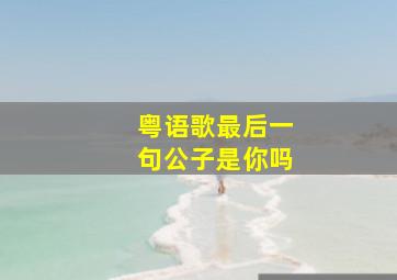 粤语歌最后一句公子是你吗