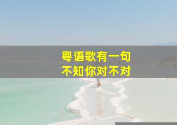 粤语歌有一句不知你对不对