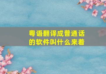 粤语翻译成普通话的软件叫什么来着