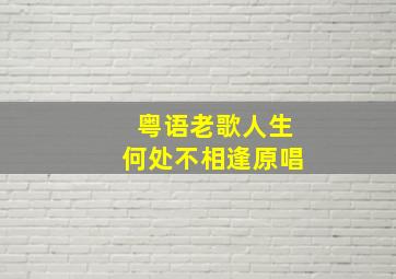 粤语老歌人生何处不相逢原唱