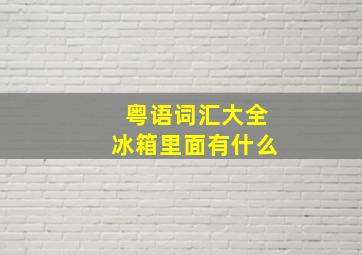 粤语词汇大全冰箱里面有什么