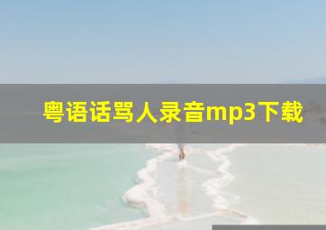 粤语话骂人录音mp3下载