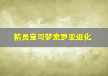 精灵宝可梦索罗亚进化