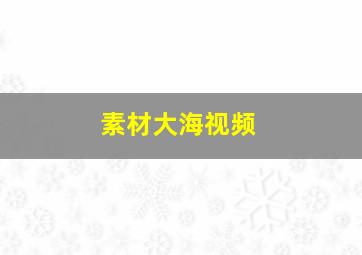 素材大海视频