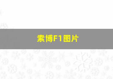 索博F1图片