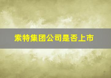 索特集团公司是否上市