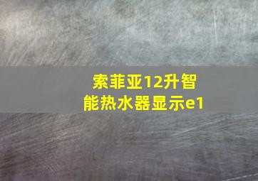 索菲亚12升智能热水器显示e1