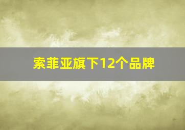 索菲亚旗下12个品牌