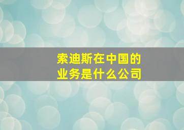 索迪斯在中国的业务是什么公司