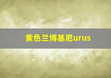 紫色兰博基尼urus