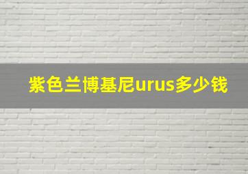 紫色兰博基尼urus多少钱