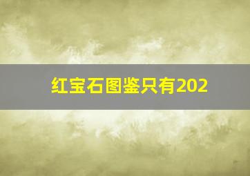 红宝石图鉴只有202