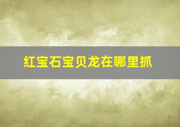 红宝石宝贝龙在哪里抓